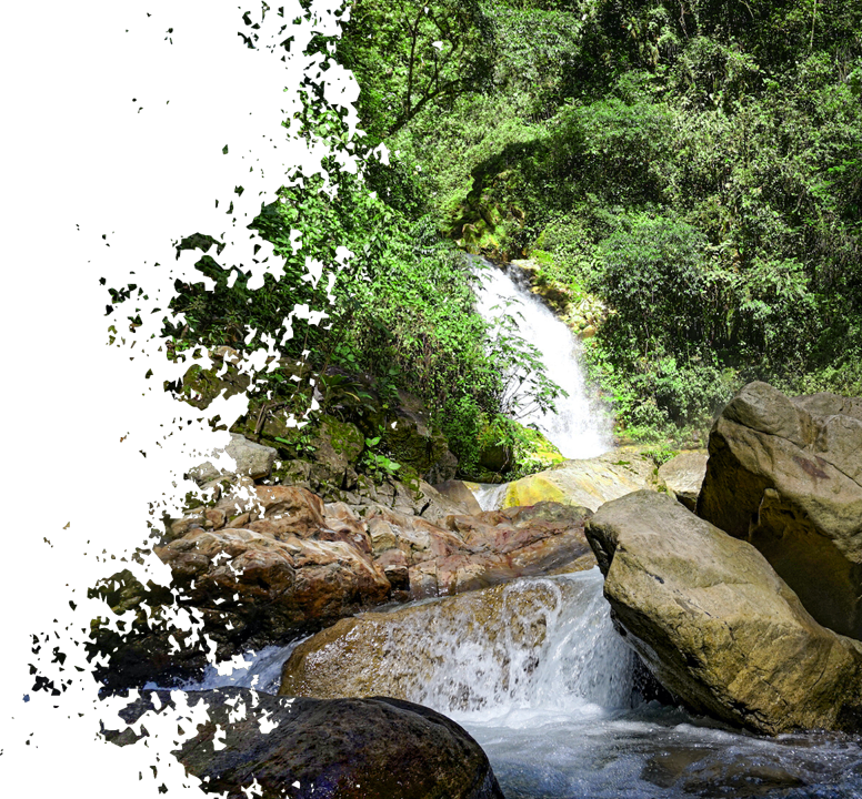 naturaleza-y-experiencias